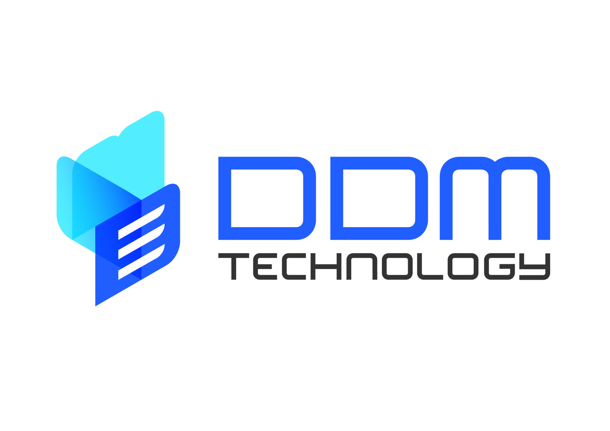 DDM