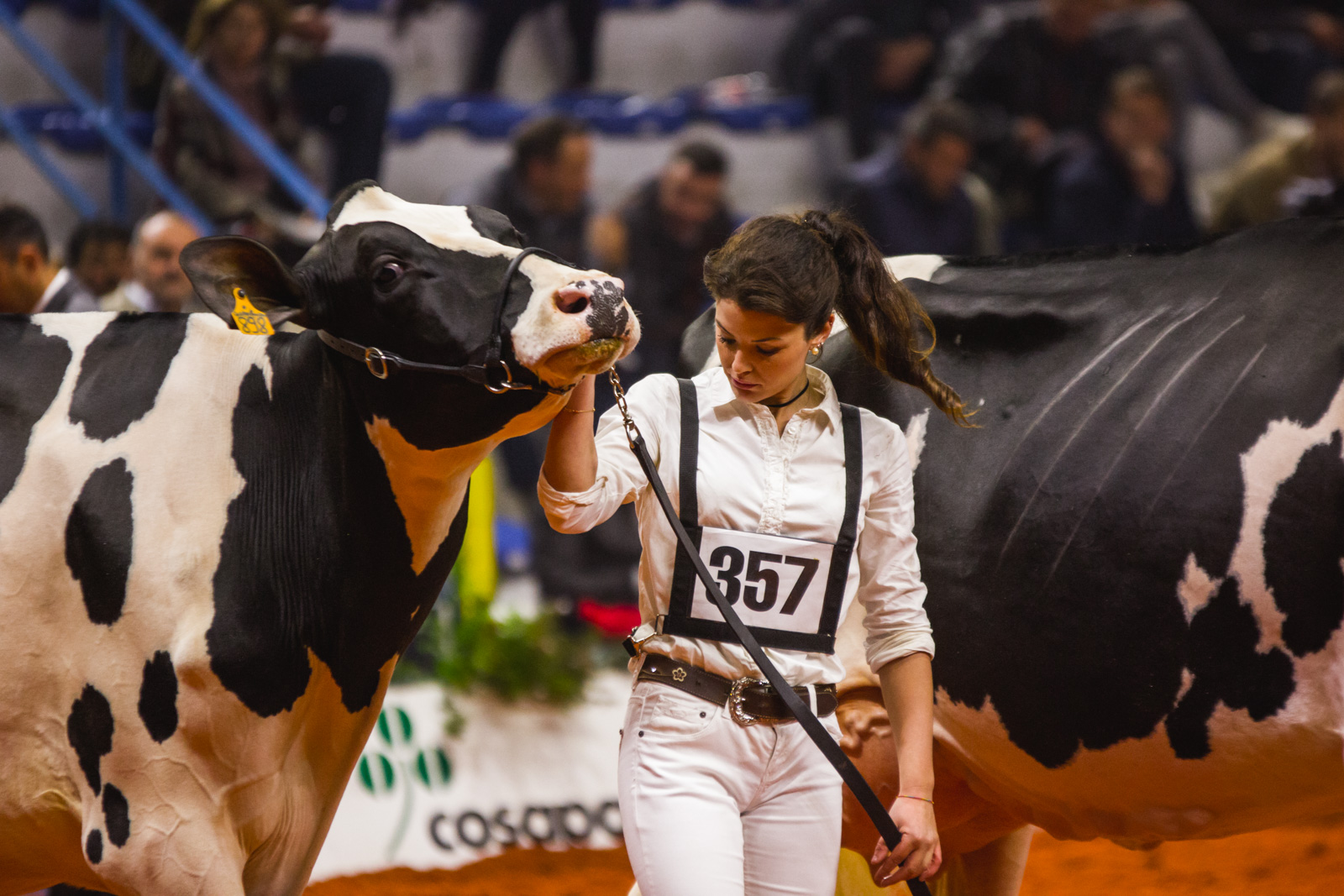 Fiere Zootecniche Internazionali