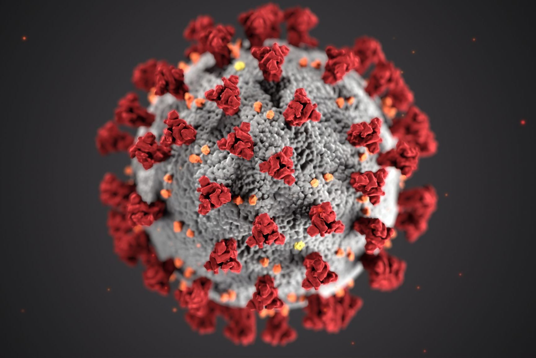 coronavirus